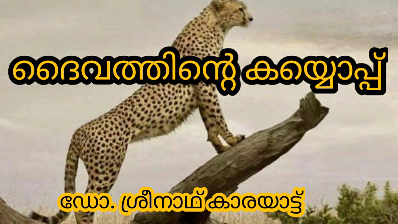 ദൈവത്തിന്റെ കയ്യൊപ്പ്