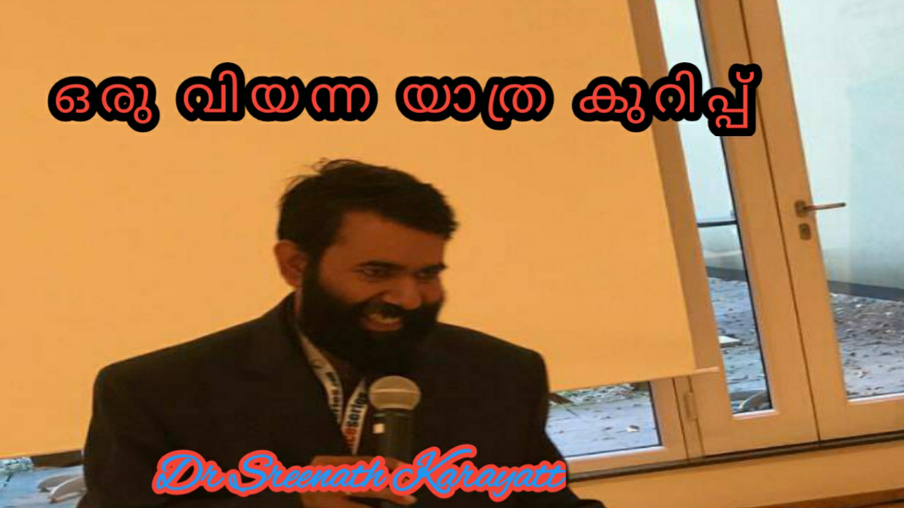 വിയന്ന യാത്ര കുറിപ്പ്!